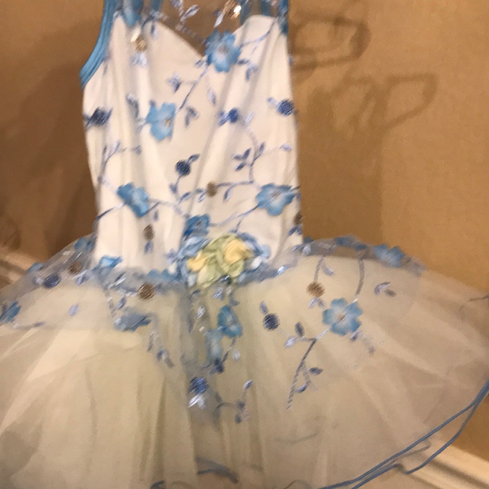 AWish Come True Ballet/Tap Cream & Baby Blue w/flowers tulle dress Size Small